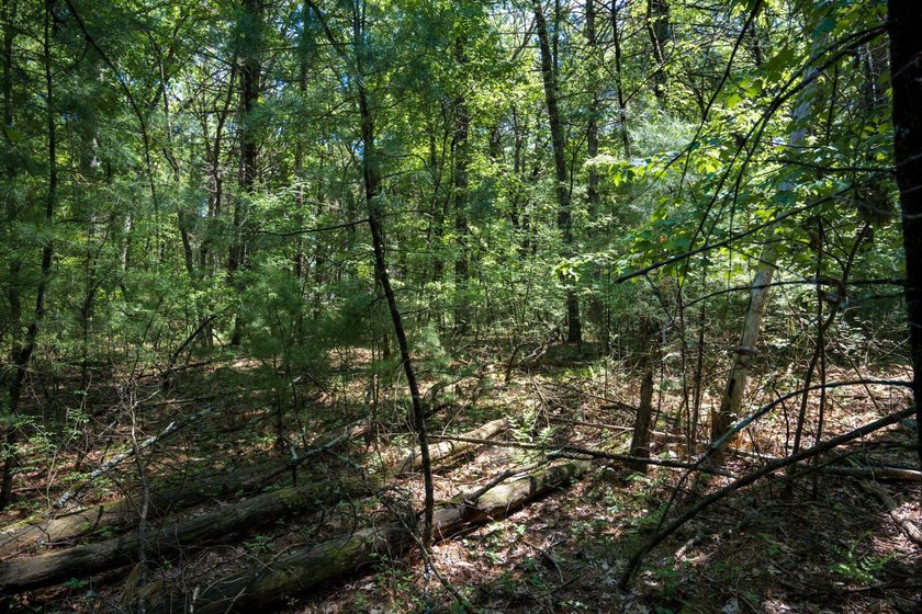 Come take a look at this 1 acre parcel with deeded access to - photo 10