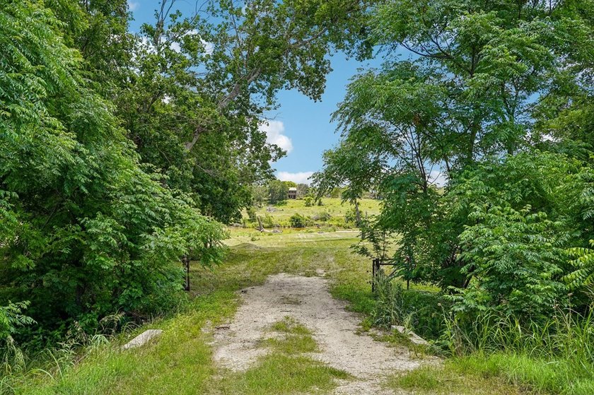 Guadalupe River Frontage with Exceptional Recreational Appeal - photo 3