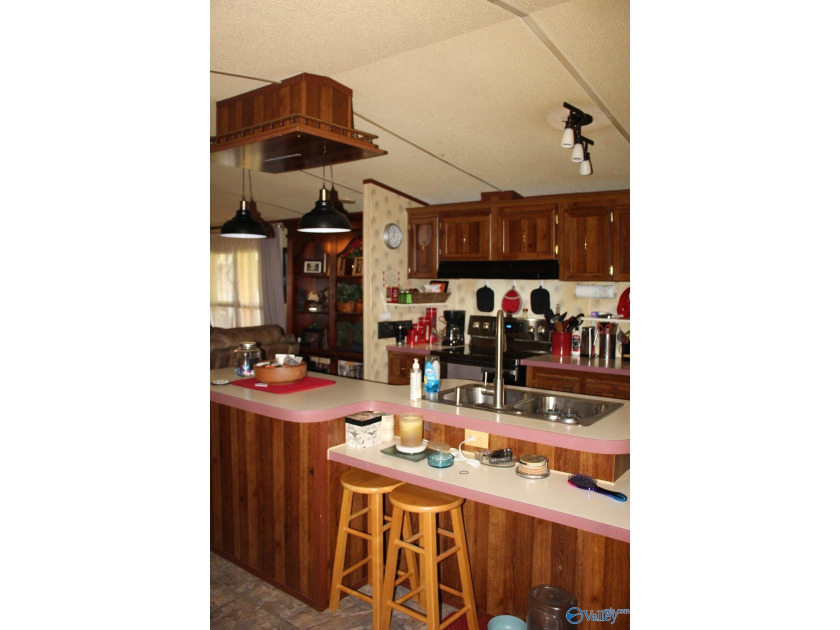 This is your chance for paradise on the lake, this home has it - photo 43
