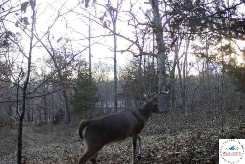 94 acres of Hunting Haven! Perfectly suited for the avid - photo 21