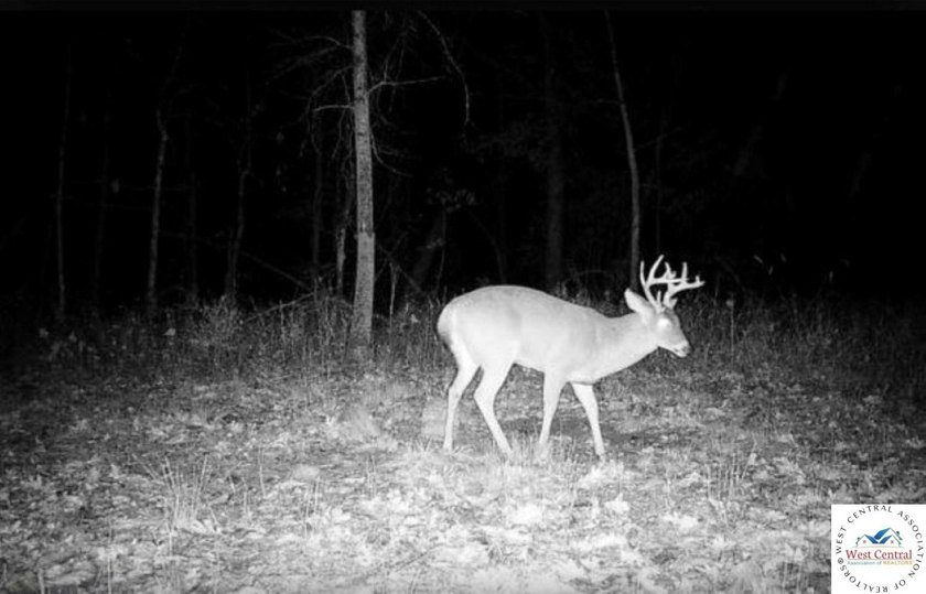 94 acres of Hunting Haven! Perfectly suited for the avid - photo 22