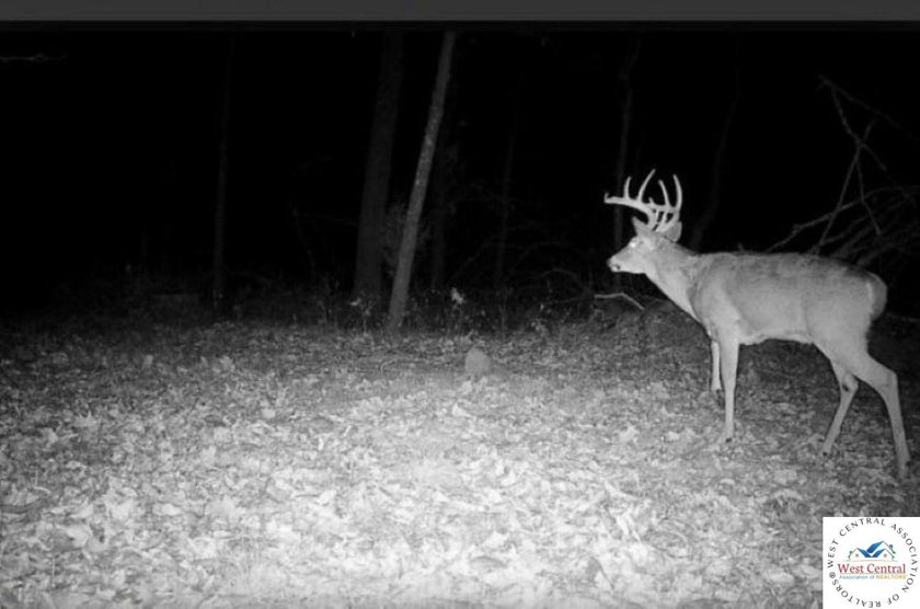 94 acres of Hunting Haven! Perfectly suited for the avid - photo 23