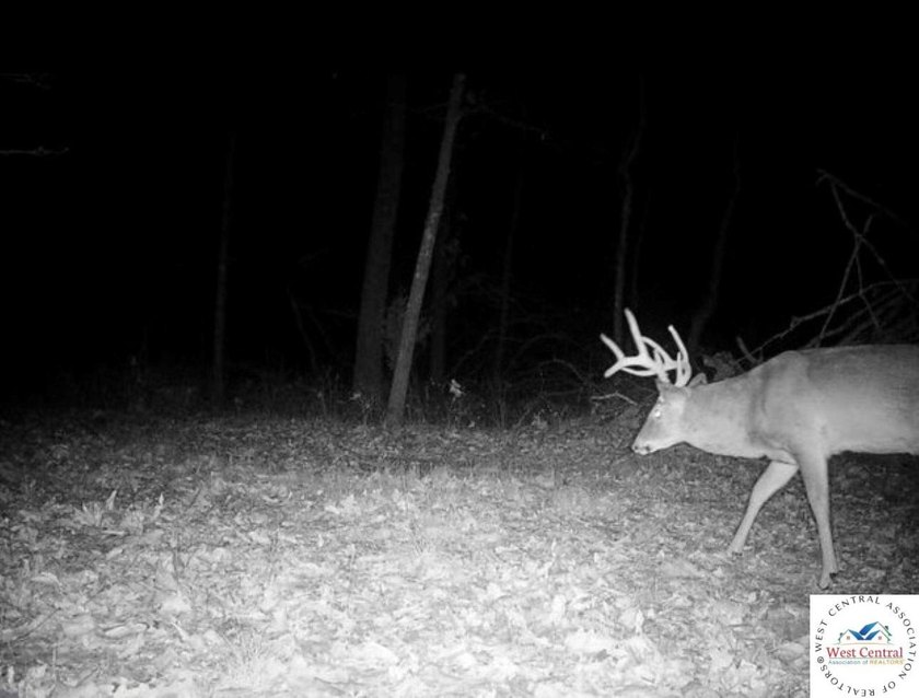 94 acres of Hunting Haven! Perfectly suited for the avid - photo 24