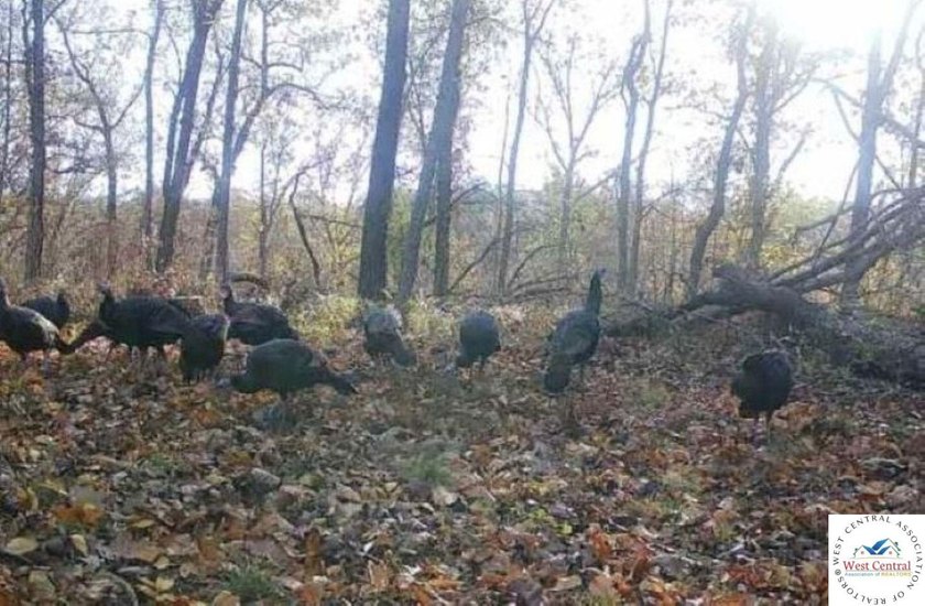94 acres of Hunting Haven! Perfectly suited for the avid - photo 27