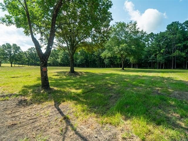 Homestead-Ready | Unrestricted | Exceptional Mountain Views - photo 3