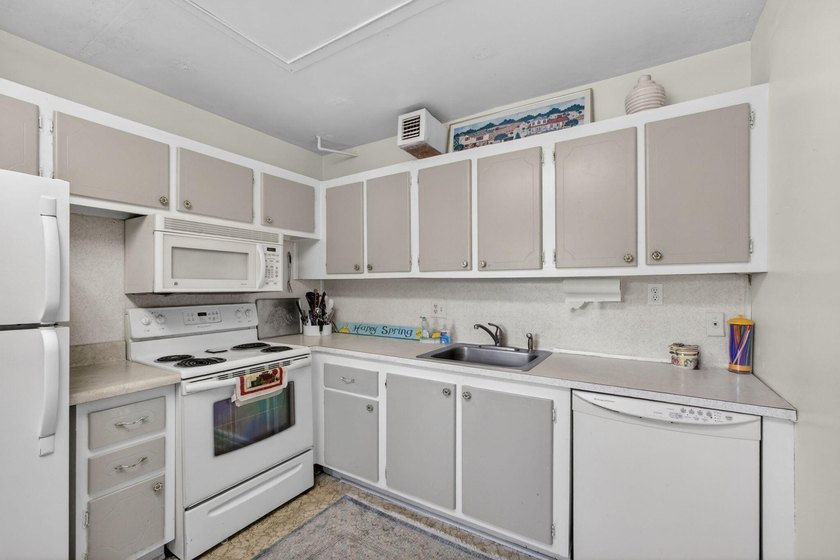 Serene lake views from the balcony highlight this 2/2 floor plan - photo 7