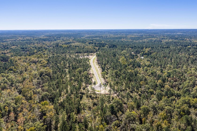 Welcome to Appling, Georgia's premier new luxury community! This - photo 4