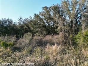 This Country Lot Located on a County Maintained Paved Road, is - photo 6