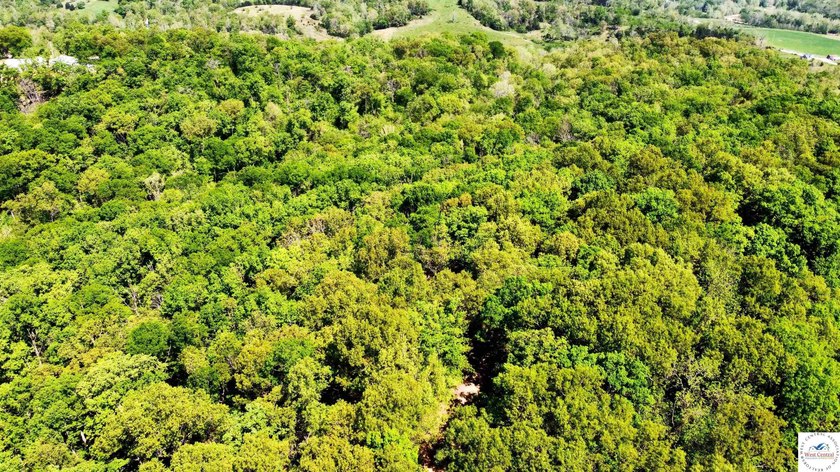 Here is a unique opportunity. Located just 3.7 miles (about 5 - photo 11