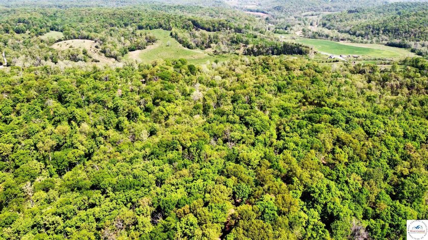 Here is a unique opportunity. Located just 3.7 miles (about 5 - photo 12