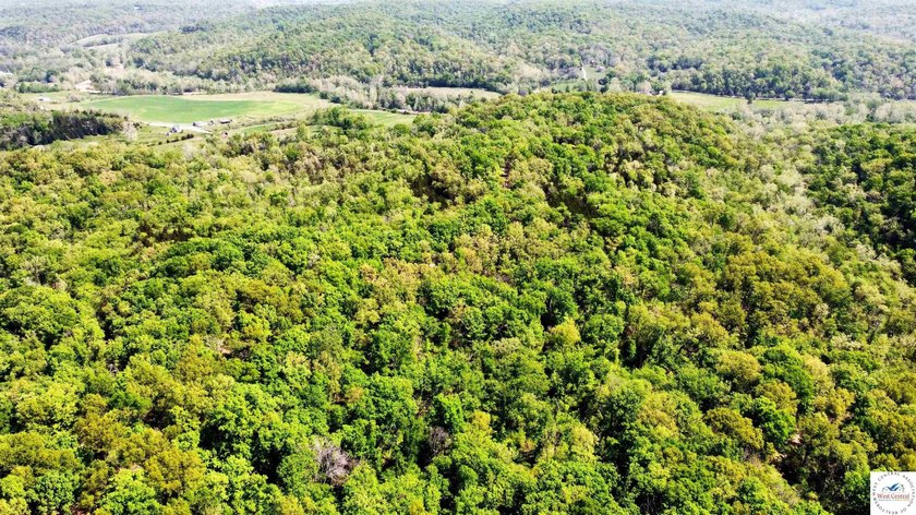 Here is a unique opportunity. Located just 3.7 miles (about 5 - photo 19
