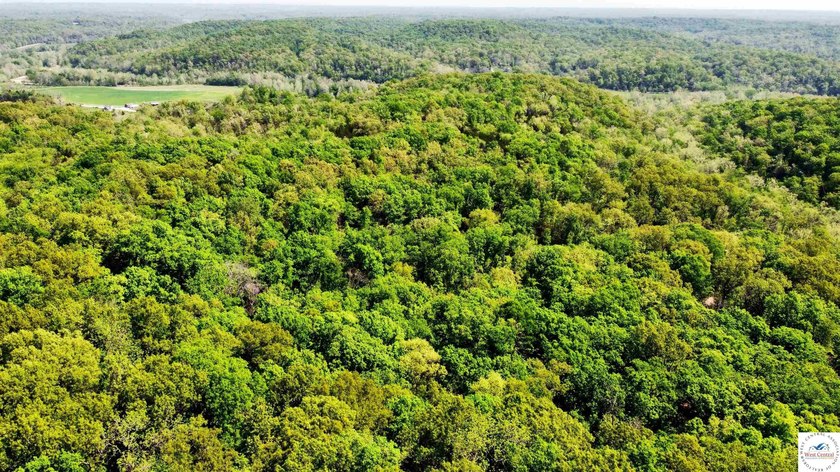 Here is a unique opportunity. Located just 3.7 miles (about 5 - photo 21