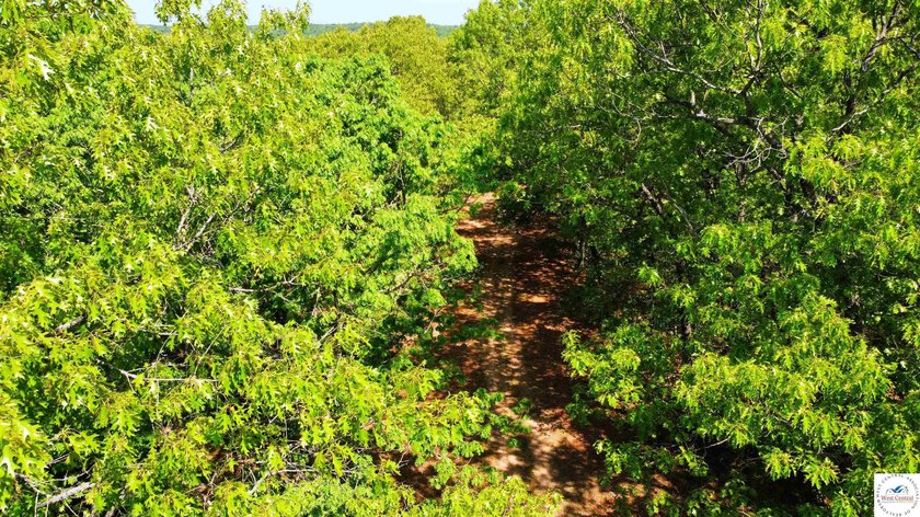 Here is a unique opportunity. Located just 3.7 miles (about 5 - photo 25