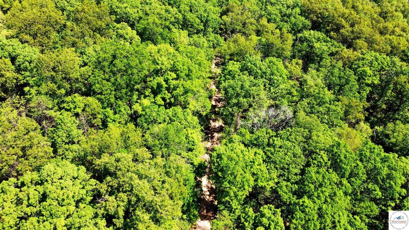 Here is a unique opportunity. Located just 3.7 miles (about 5 - photo 33