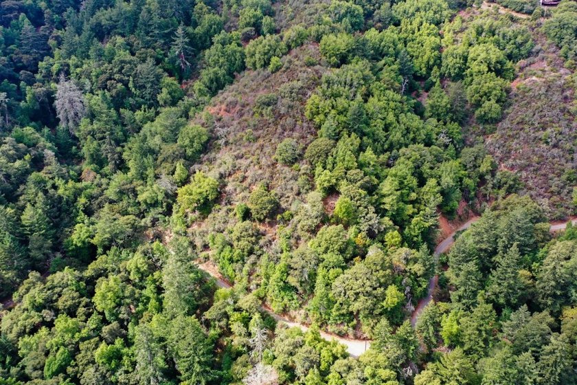Discover a hidden gem high above Silicon Valley - a serene 8 - photo 5