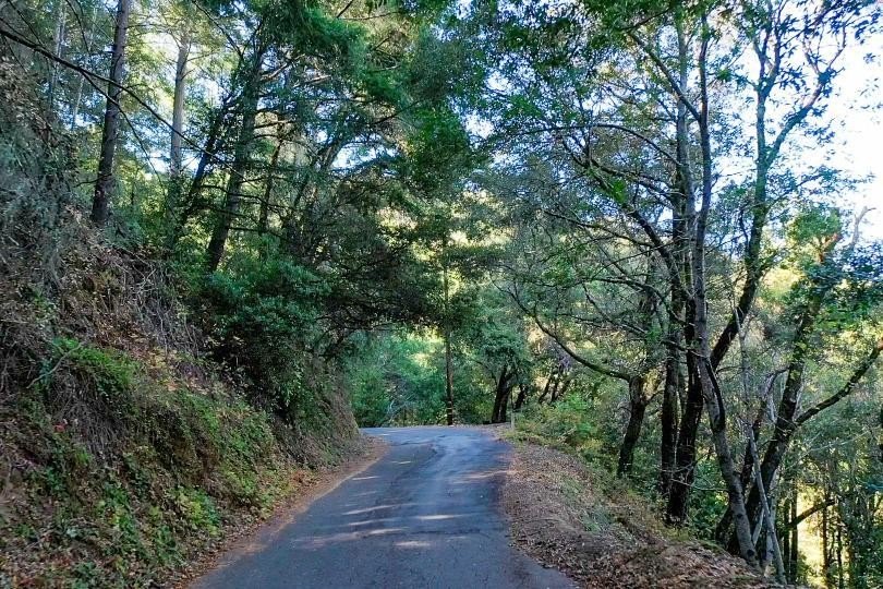 Discover a hidden gem high above Silicon Valley - a serene 8 - photo 8