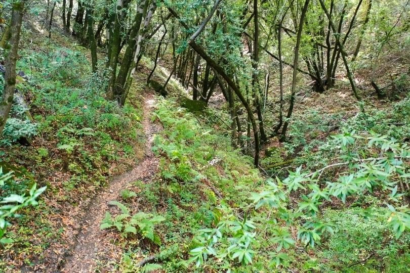 Discover a hidden gem high above Silicon Valley - a serene 8 - photo 9