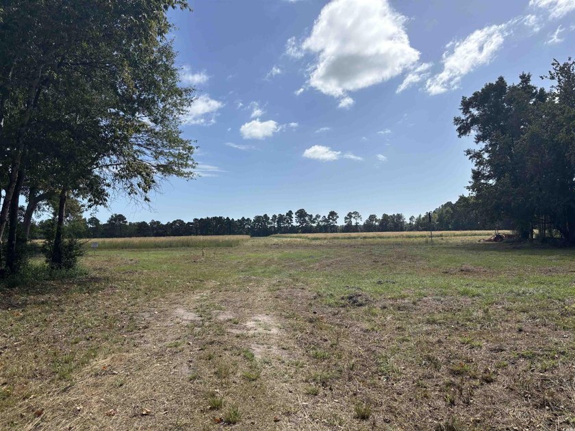 A rare opportunity to own 55 acres of pristine land with - photo 3