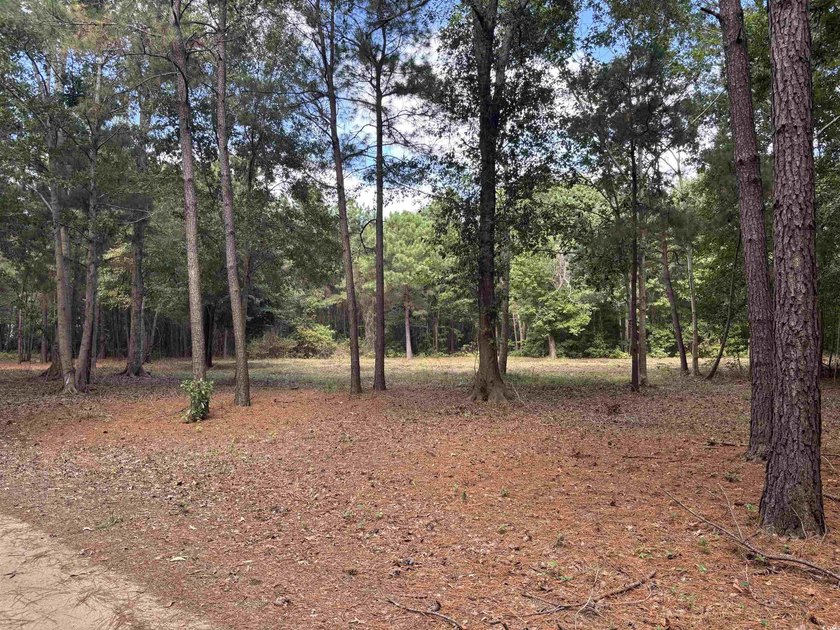 A rare opportunity to own 55 acres of pristine land with - photo 5