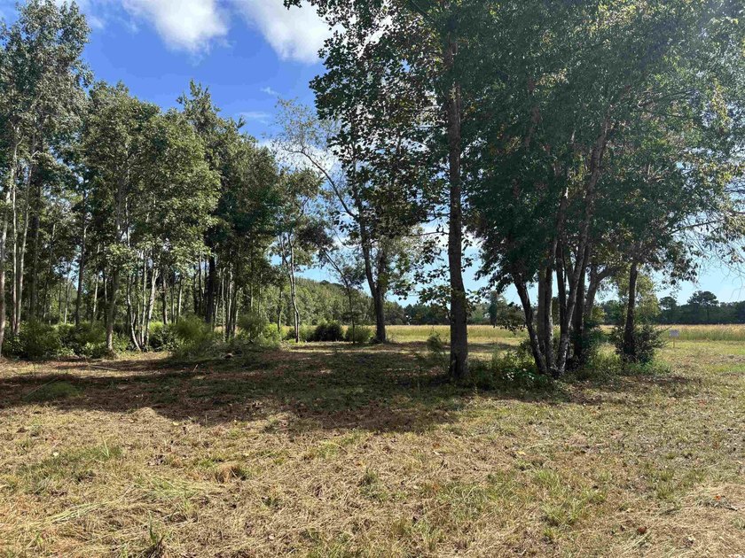 A rare opportunity to own 55 acres of pristine land with - photo 8