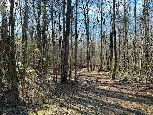 5.5 acres in beautiful neighborhood with all gated driveways - photo 8