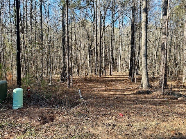 3 acres in beautiful neighborhood with all gated driveways - photo 4