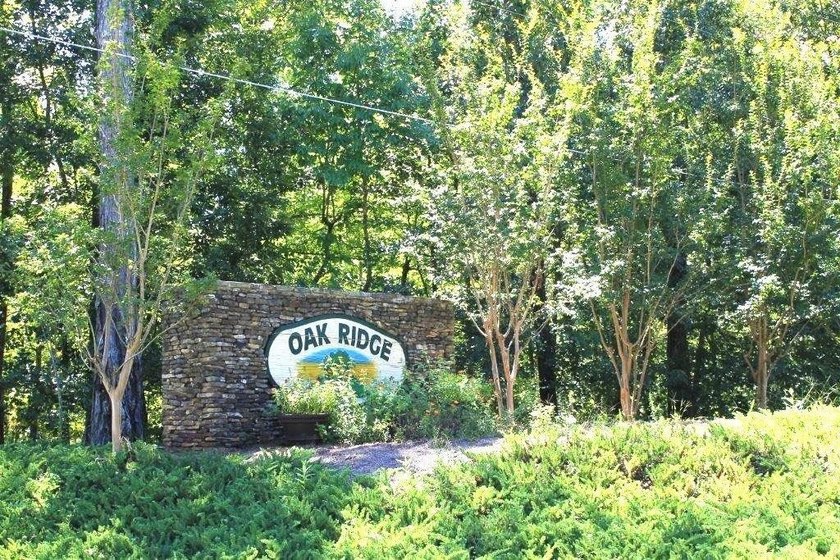 3 acres in beautiful neighborhood with all gated driveways - photo 5