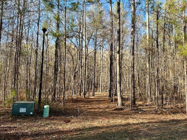 3 acres in beautiful neighborhood with all gated driveways - photo 6