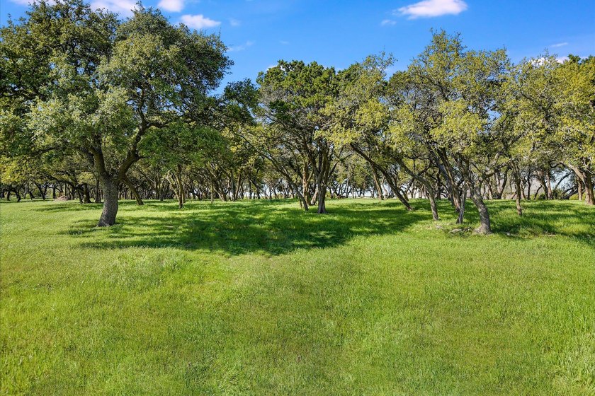 Welcome to a rare blend of bold Texas beauty &amp; modern luxury - photo 6