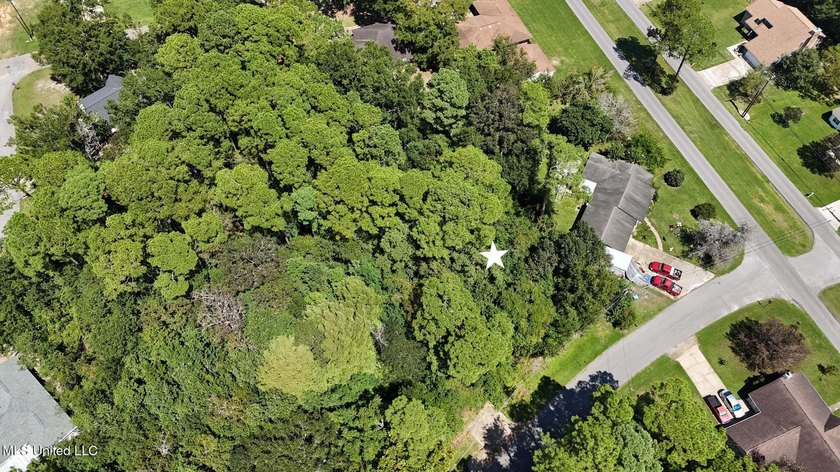 Land for Sale - Sandpiper Lane, Gautier, MS This beautiful - photo 2