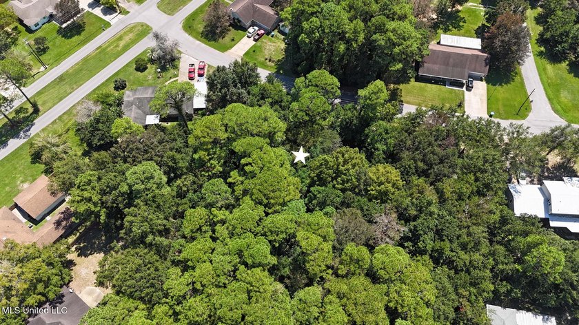 Land for Sale - Sandpiper Lane, Gautier, MS This beautiful - photo 5