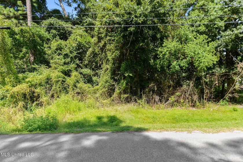 Land for Sale - Sandpiper Lane, Gautier, MS This beautiful - photo 9