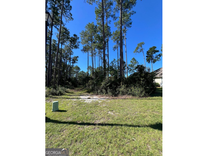 Build your dream home on this beautiful 0.65-acre lakefront lot - photo 8
