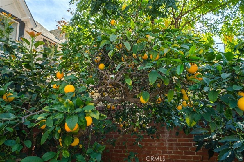 Located in the desirable West Village neighborhood of Downtown - photo 14
