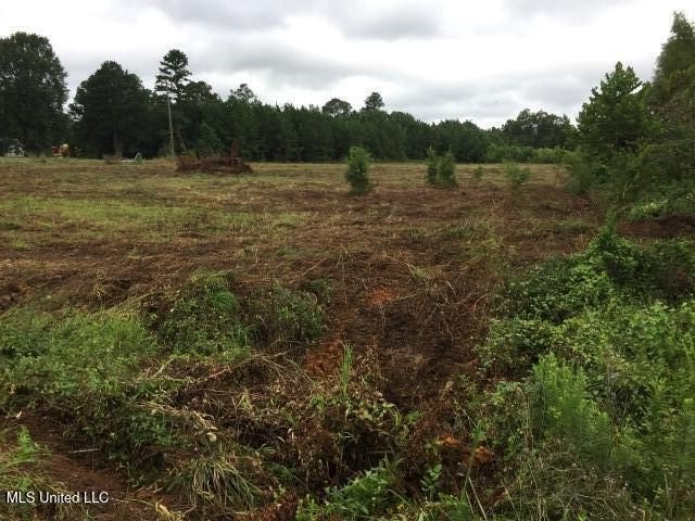 Commercial acreage in high traffic area on a major US Highway 80 - photo 3