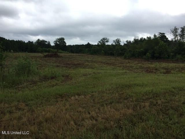 Commercial acreage in high traffic area on a major US Highway 80 - photo 4
