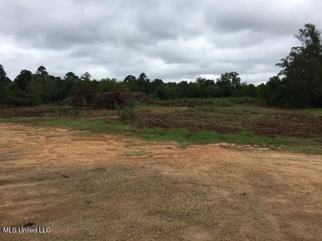 Commercial acreage in high traffic area on a major US Highway 80 - photo 2