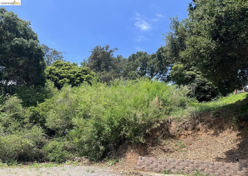 Rare opportunity to build your dream home on a private, nearly - photo 2
