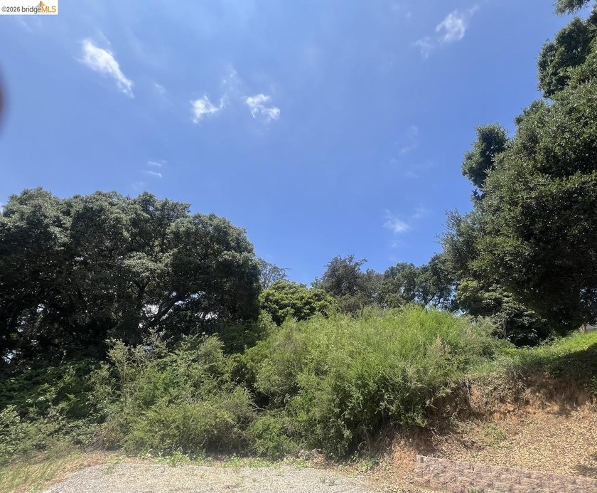 Rare opportunity to build your dream home on a private, nearly - photo 6