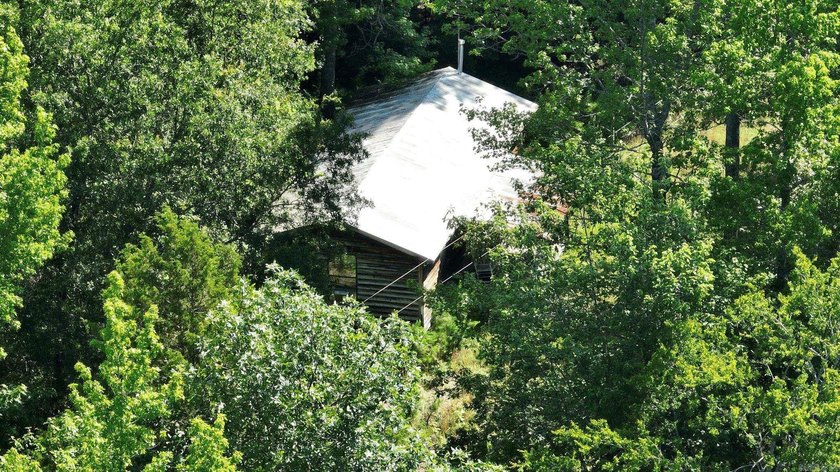 Approximately 64 wooded acres with county road frontage - photo 2