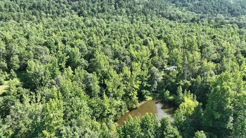 Approximately 64 wooded acres with county road frontage - photo 3