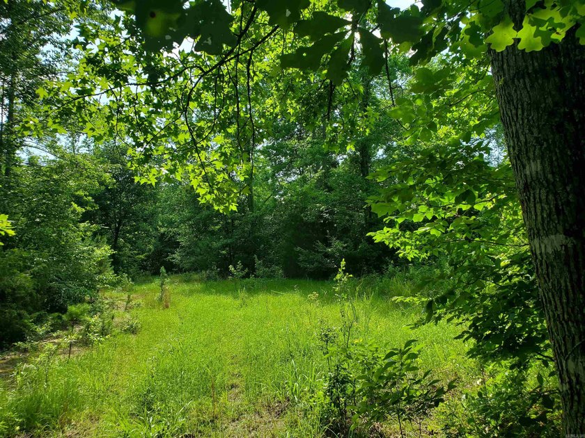 Approximately 64 wooded acres with county road frontage - photo 6