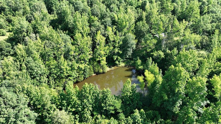 Approximately 64 wooded acres with county road frontage - photo 7