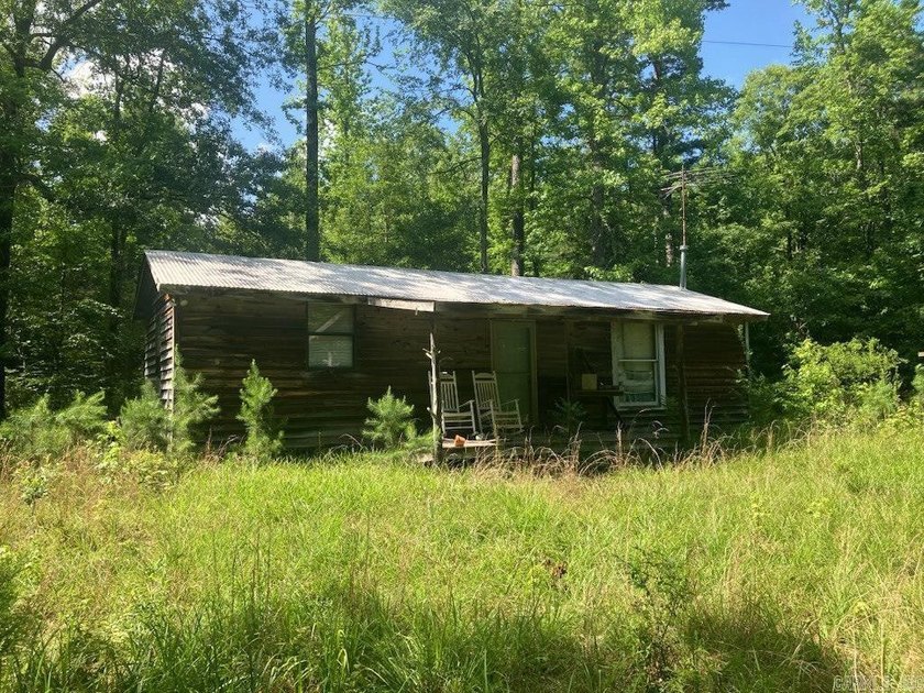 Approximately 64 wooded acres with county road frontage - photo 9