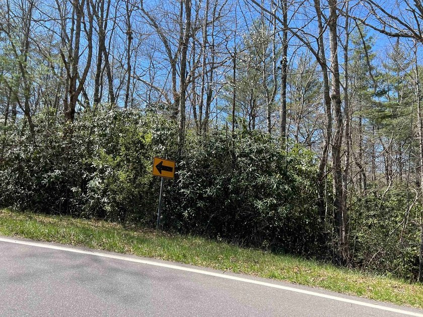 Wayah Road Frontage, easy access-nice laying land. nice big - photo 7