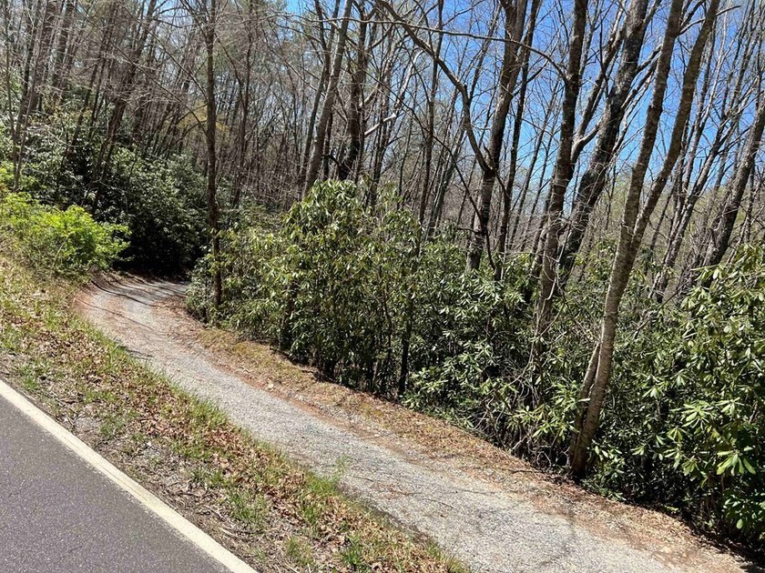 Wayah Road Frontage, easy access-nice laying land. nice big - photo 8