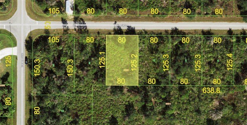 Standard lot for sale in Port Charlotte! Featuring 80ft of road - photo 3