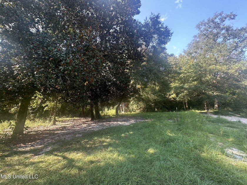 Discover peace and potential with this beautiful property - photo 4