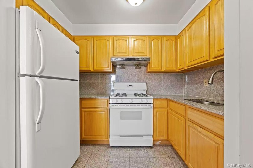 Spacious and beautiful 2 bed 2 bath condo with terrace - photo 8