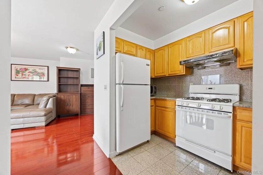 Spacious and beautiful 2 bed 2 bath condo with terrace - photo 10